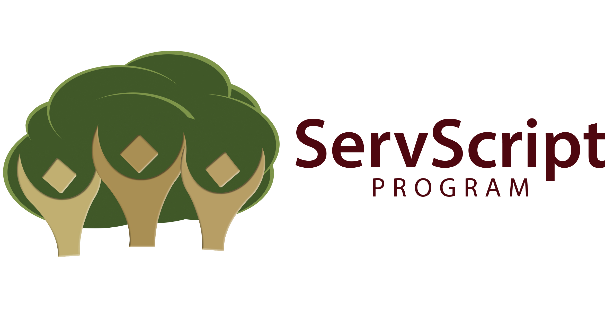 ServScript Program